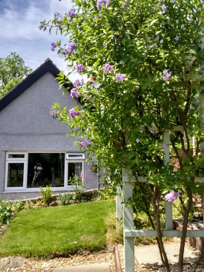 Pentre Isaf Bed and Breakfast Conwy Εξωτερικό φωτογραφία