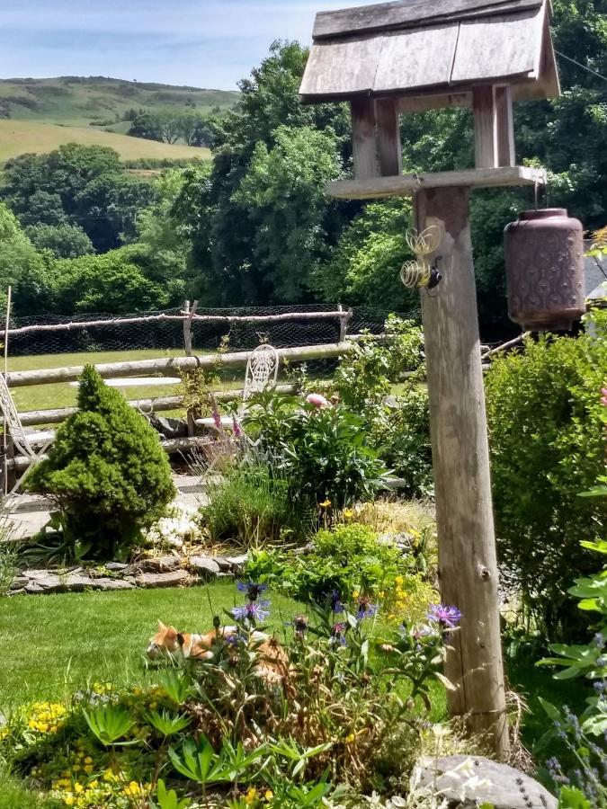 Pentre Isaf Bed and Breakfast Conwy Εξωτερικό φωτογραφία