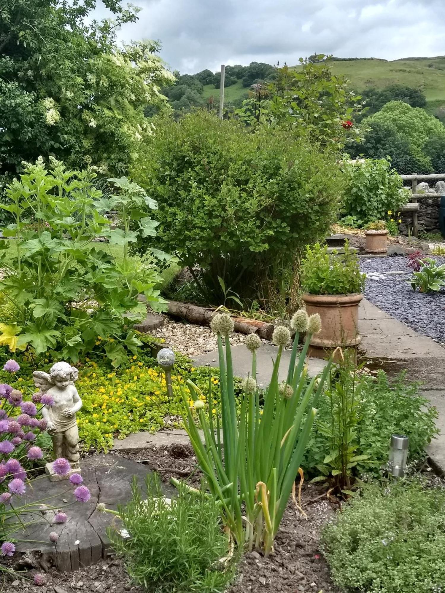Pentre Isaf Bed and Breakfast Conwy Εξωτερικό φωτογραφία