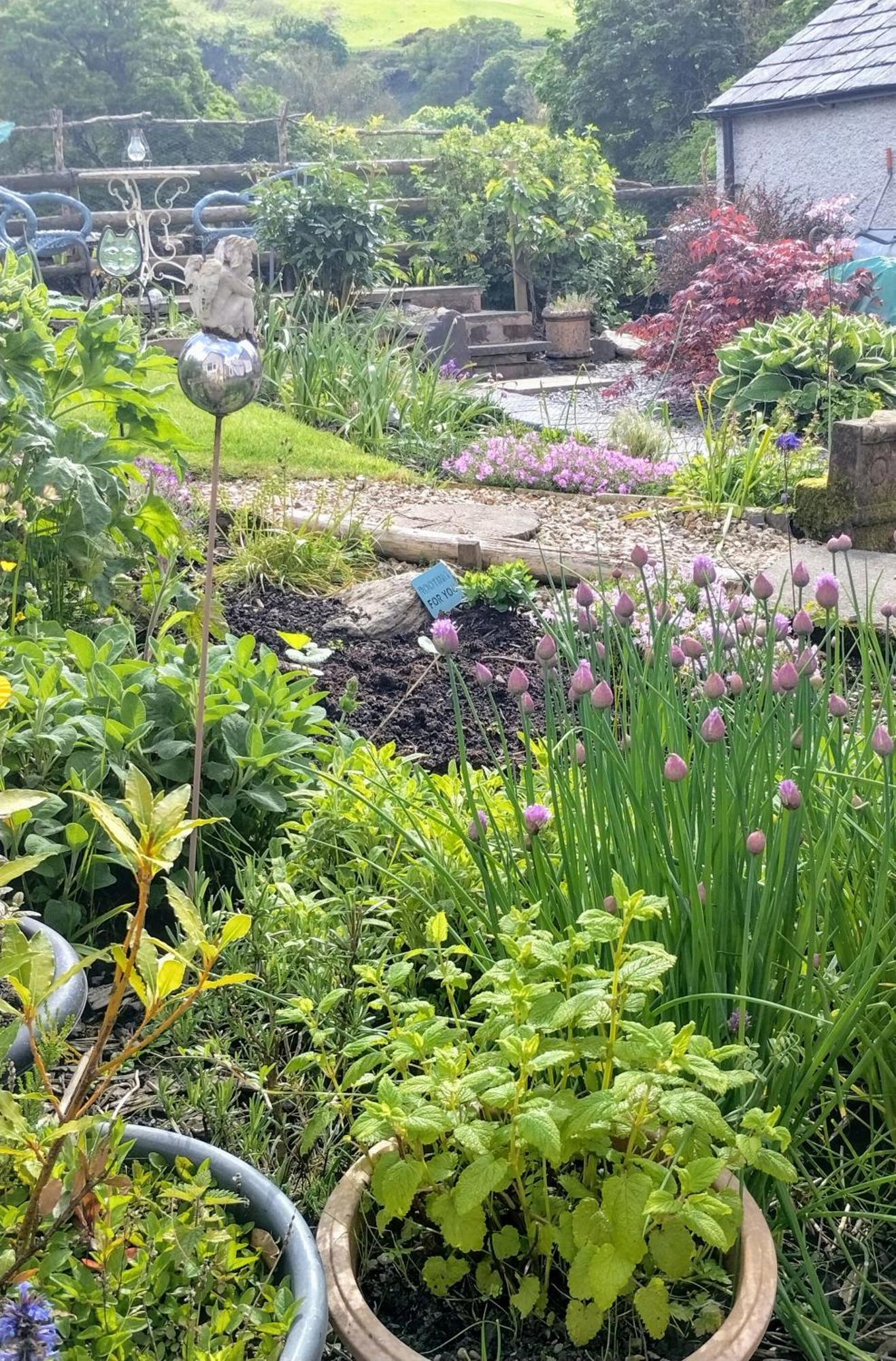 Pentre Isaf Bed and Breakfast Conwy Εξωτερικό φωτογραφία